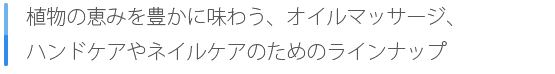 キャッチフレーズ