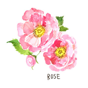 MG_ROSE