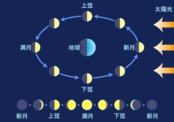 月と生理の関係